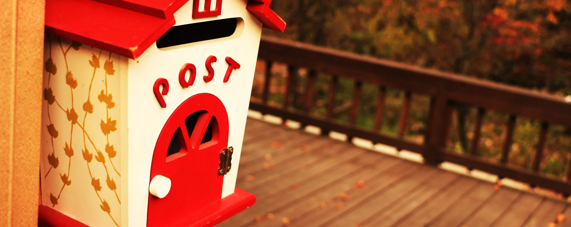 newsletter-header